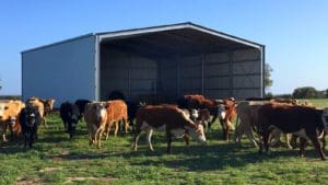 Rural Sheds