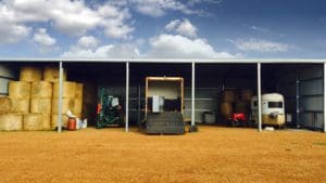 Super_Farmer_Sheds