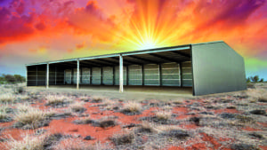 Big_Deep_&_High_Plus_Sheds